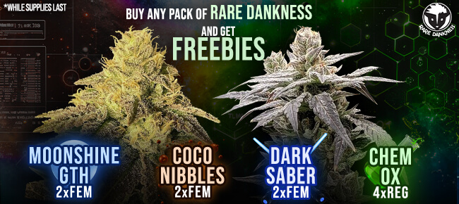 Rare Dankness - Buy Any Pack - Get EXTRA FREEBIES!