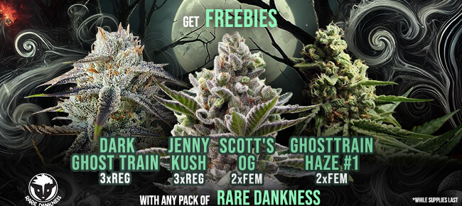 Rare Dankness - Buy Any Pack - Get EXTRA FREEBIES!