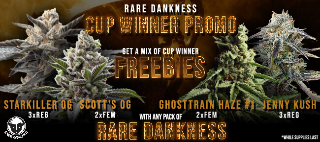 Rare Dankness - Buy Any Pack - Get EXTRA FREEBIES!