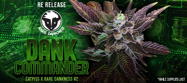 Rare Dankness - Dank Commander - Re-Release 2025