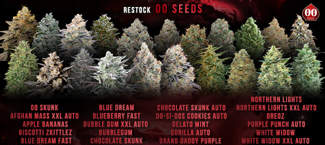 00 Seeds - Restock Mar 2026