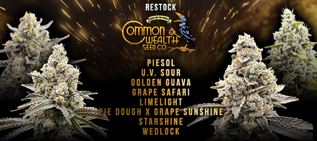 Common Wealth Seed Co - Restock