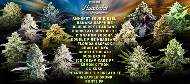 Humboldt Seed Org - Restock June 2026