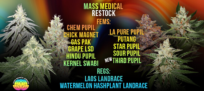 Mass Medical - Restock
