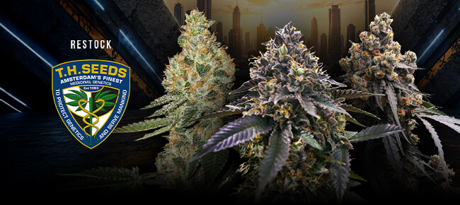 TH Seeds - Restock - August 2026