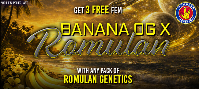 Romulan Genetics - Buy Any Pack - Get 3 FEM Banana OG x Romulan