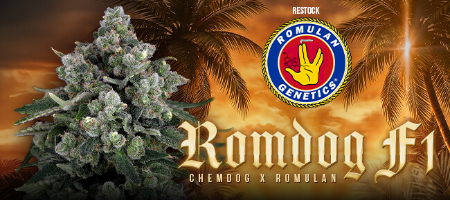 Romulan Genetics - Restock June 2026 - Romdog F1
