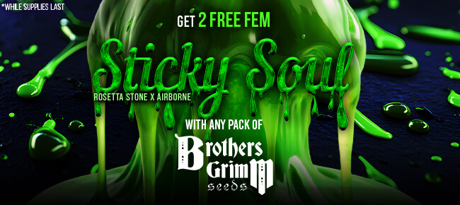 Brothers Grimm - Buy Any Pack - Get 2 FEM Sticky Soul