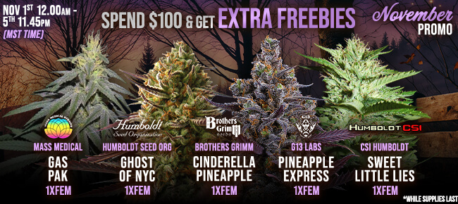 November Promo - Spend $100 - Get EXTRA FREEBIES!
