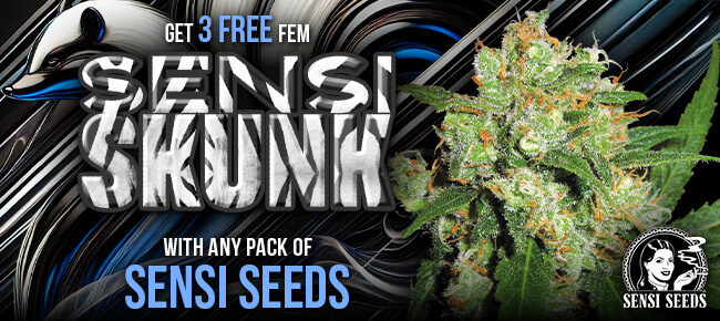 Sensi Seeds - Buy Any Pack - Get 3 FEM Sensi Skunk