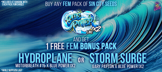 SinCity Seeds - Buy Any Blue Power FEM Pack - Get FEM Bonus Pack