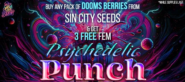 SinCity Seeds - Buy Any Pack of Doom Berries - Get 3 FEM Psychedelic Punch