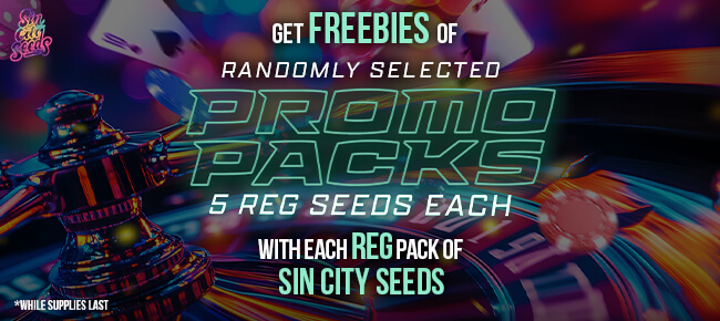 SinCity Seeds - Buy Any REG Pack - Get 5 REG Promo Pack Randomly Selected