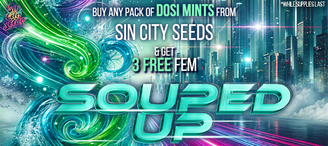 SinCity Seeds - Buy Any Pack of Do Si Mints - Get 3 FEM Souped Up