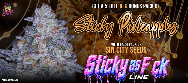 SinCity Seeds - Buy Any Sticky as F*ck Pack - Get 5 REG Sticky Pineapples