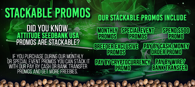 Stackable Promos - Attitude USA