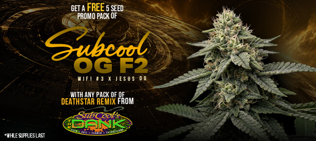 SubCool Seeds - Buy Deathstar Remixed - Get 5 REG Subcool OG F2