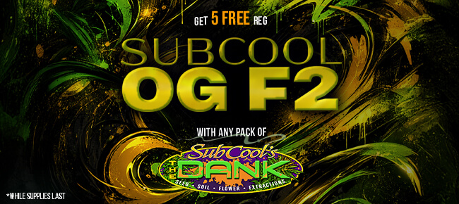 SubCool Seeds - Buy Any Pack - Get 5 REG SubCool OG F2