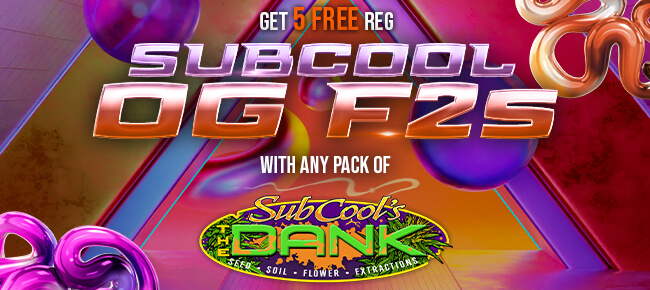 Subcool Seeds - Buy Any Pack - Get 5 REG Subcool OG F2