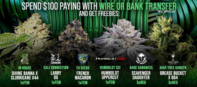 Spend $100 with Wire or Bank Transfer - Get FREEBIES! V10