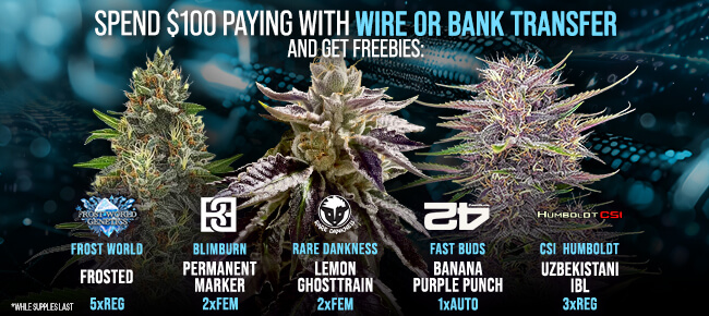 Spend $100 with Wire or Bank Transfer - Get FREEBIES!