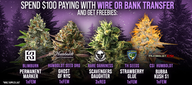Spend $100 with Wire or Bank Transfer - Get FREEBIES!