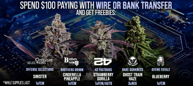 Spend $100 with Wire or Bank Transfer - Get FREEBIES!
