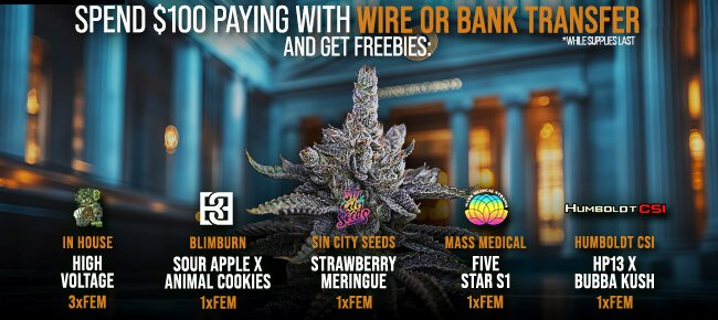 Spend $100 with Wire or Bank Transfer - Get FREEBIES!