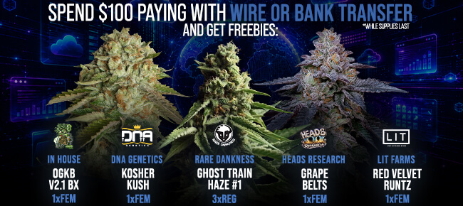Spend $100 with Wire or Bank Transfer - Get FREEBIES!