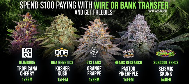 Spend $100 with Wire or Bank Transfer - Get FREEBIES!