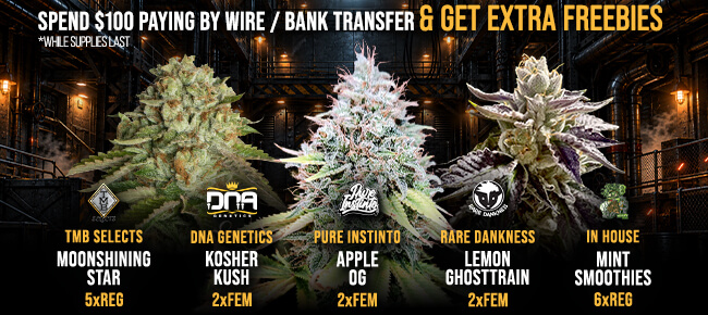 Spend $100 with Wire or Bank Transfer - Get FREEBIES!