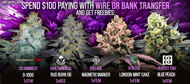 Spend $100 with Wire or Bank Transfer - Get FREEBIES!
