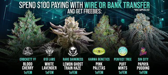 Spend $100 with Wire or Bank Transfer - Get FREEBIES! V9